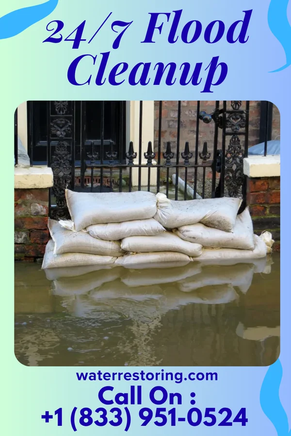 24/7 Flood Cleanup in Haubstadt, IN